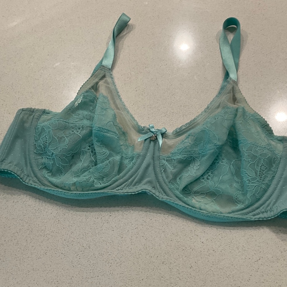 Wacoal Lace Underwire Bra in Light Blue